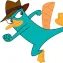 Platypus, @ApiBackup